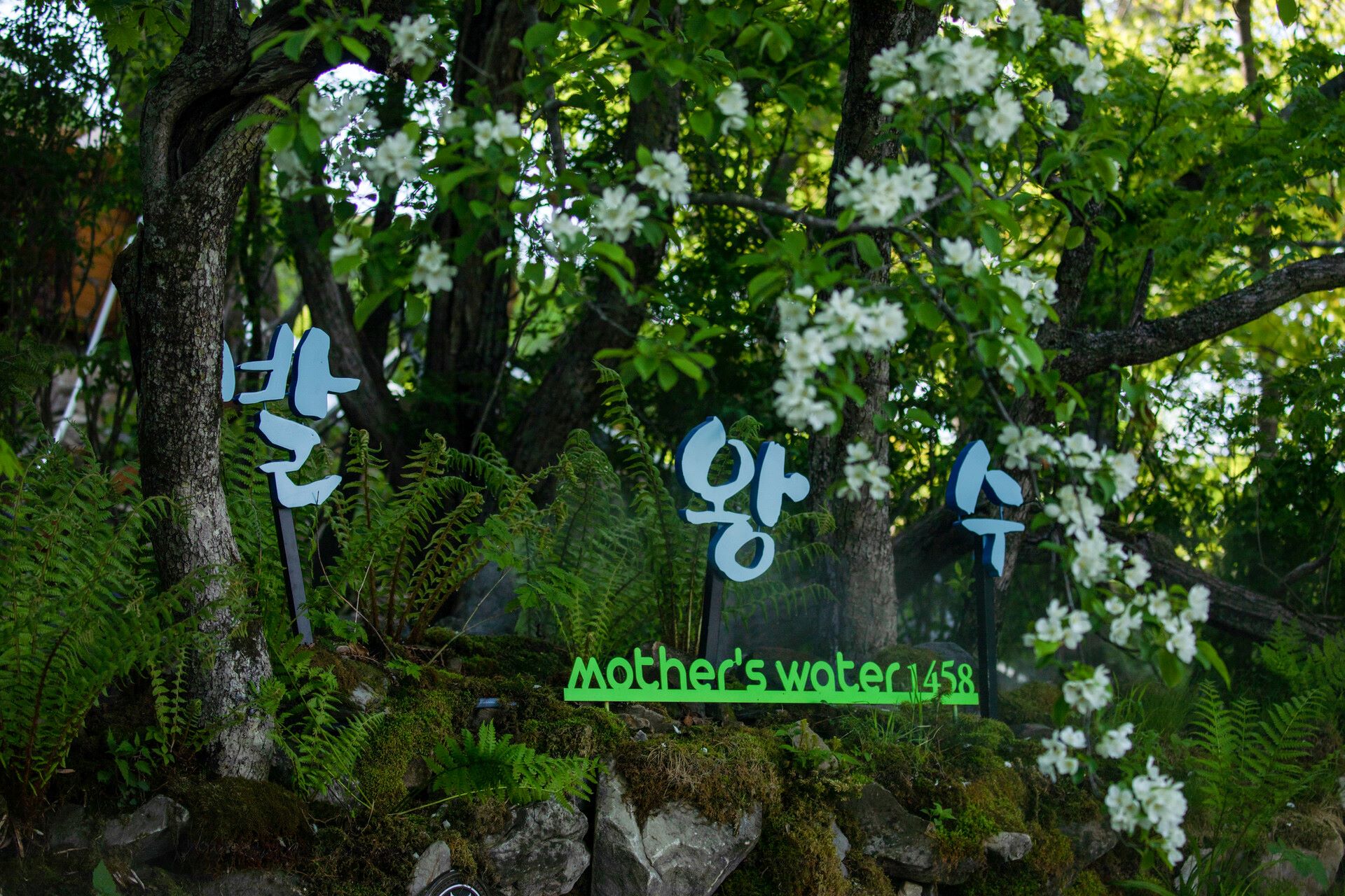 garden2.jpg